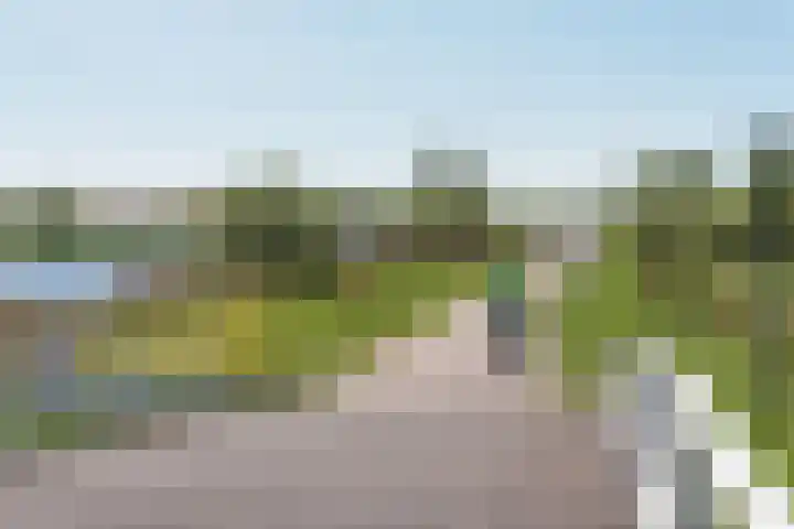 Nijenrode 14 Landsmeer thumbnail 22