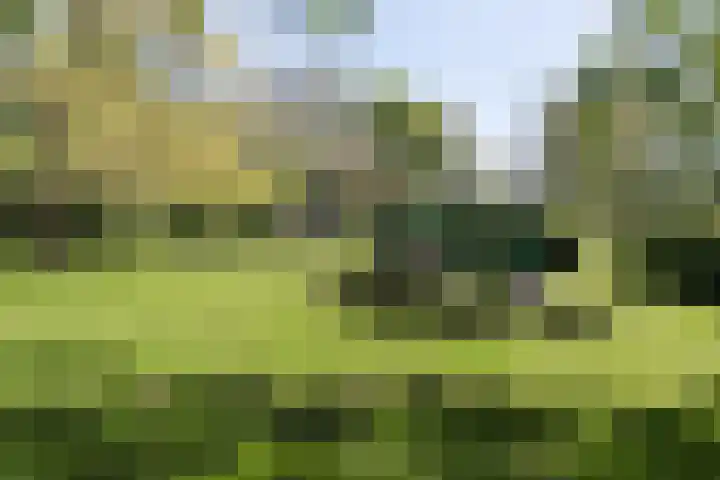 Nijenrode 14 Landsmeer thumbnail 23
