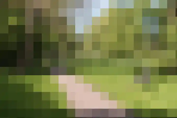 Nijenrode 14 Landsmeer thumbnail 24