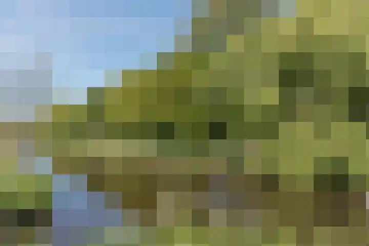 Nijenrode 14 Landsmeer thumbnail 25