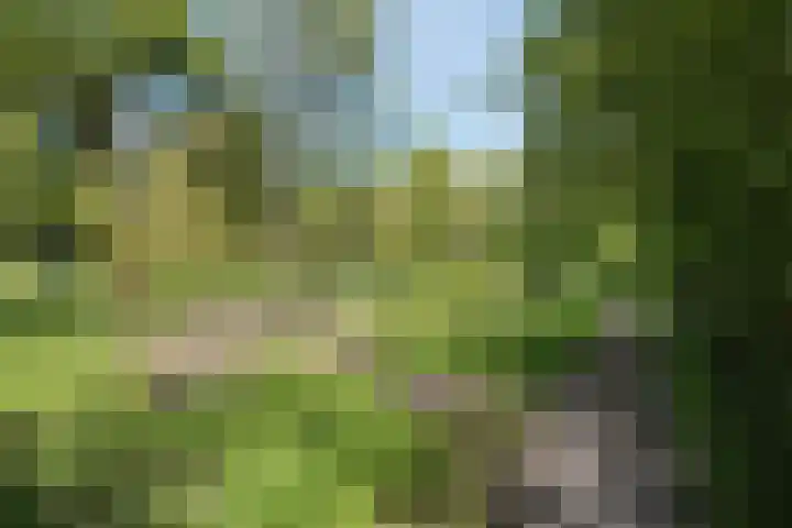 Nijenrode 14 Landsmeer thumbnail 27
