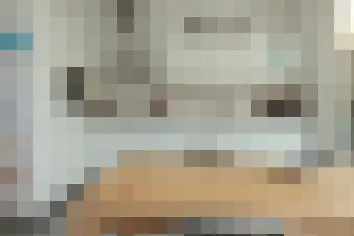 Nijenrode 14 Landsmeer thumbnail 5