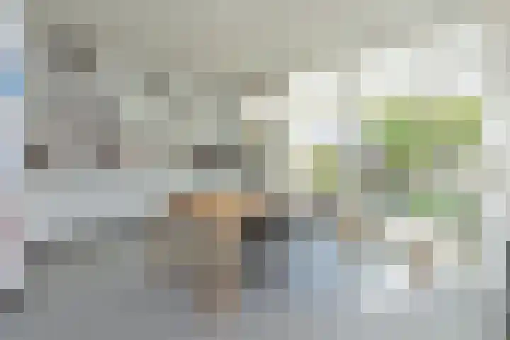 Nijenrode 14 Landsmeer thumbnail 6