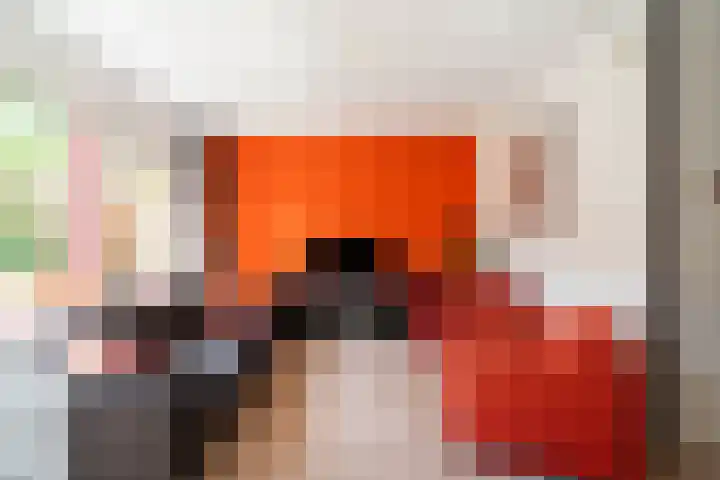 Nijenrode 149 Amersfoort thumbnail 11