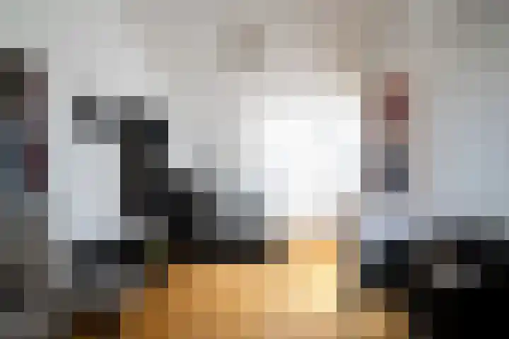 Nijenrode 149 Amersfoort thumbnail 30