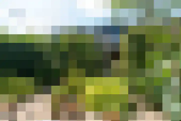 Nijenrode 149 Amersfoort thumbnail 33