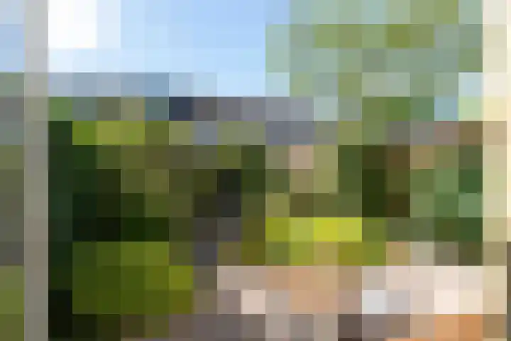 Nijenrode 149 Amersfoort thumbnail 34