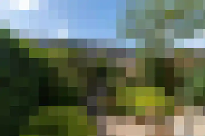 Nijenrode 149 Amersfoort thumbnail 35