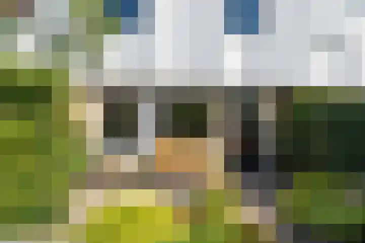 Nijenrode 149 Amersfoort thumbnail 36