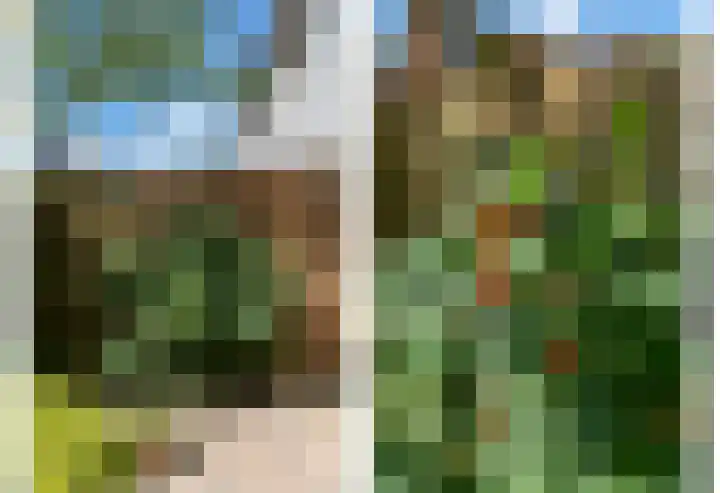 Nijenrode 149 Amersfoort thumbnail 37