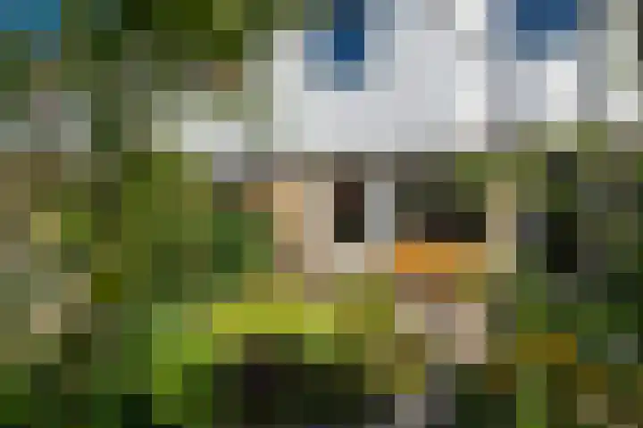 Nijenrode 149 Amersfoort thumbnail 38