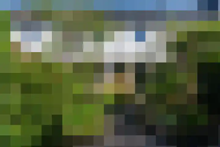 Nijenrode 149 Amersfoort thumbnail 39