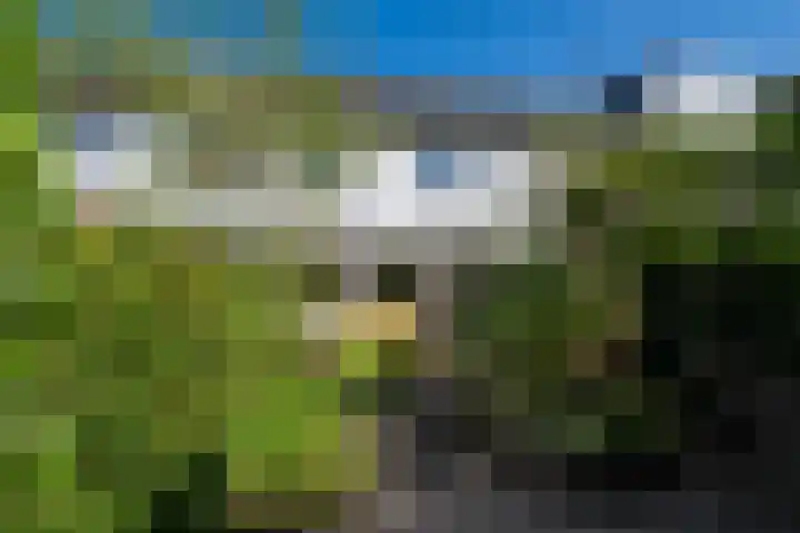 Nijenrode 149 Amersfoort thumbnail 40