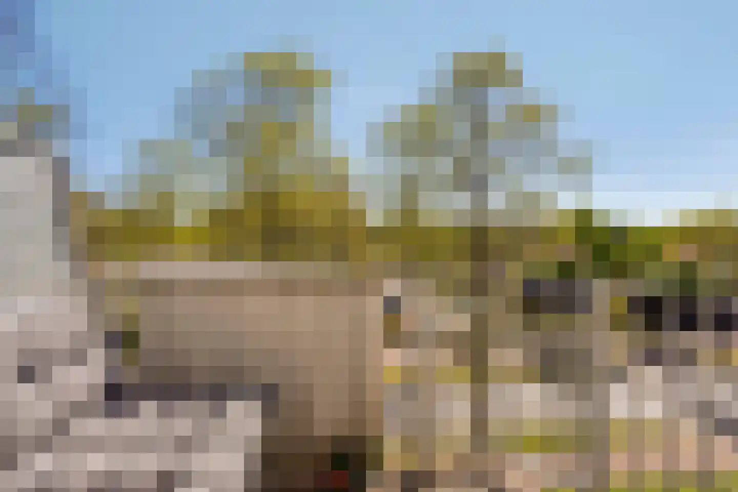 Nijenrode 15 A Amersfoort thumbnail 24