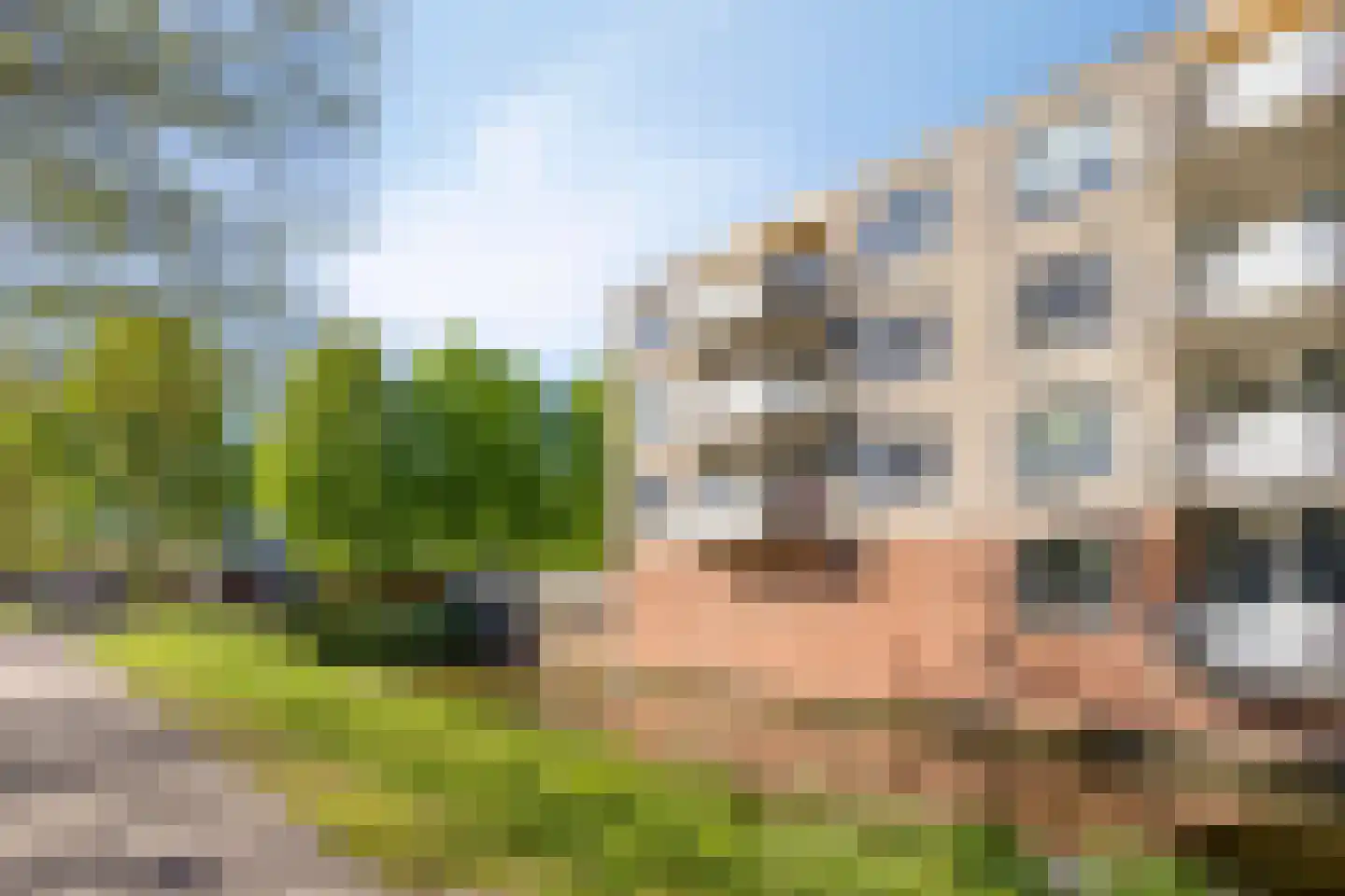 Nijenrode 15 A Amersfoort thumbnail 27