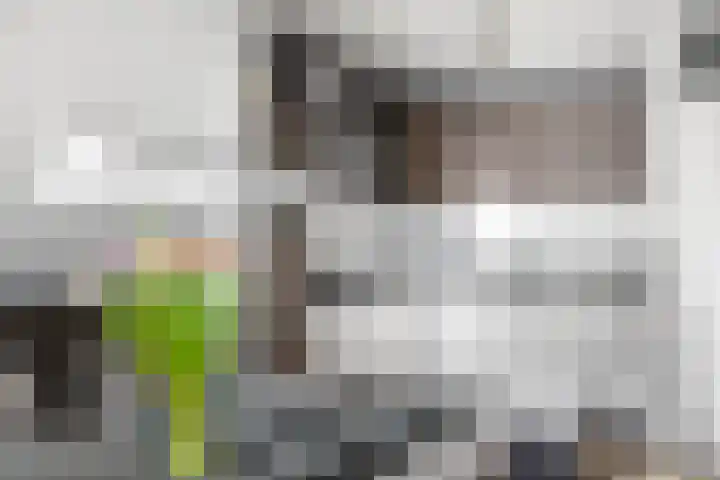Nijenrode 21 A Amersfoort thumbnail 20