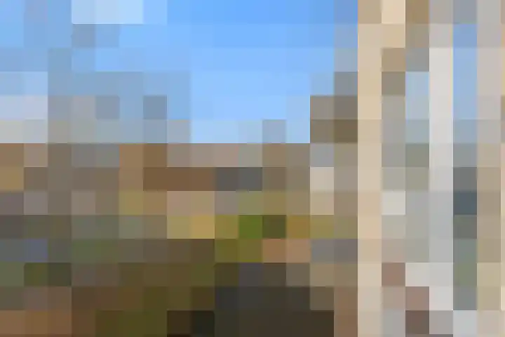 Nijenrode 21 A Amersfoort thumbnail 29