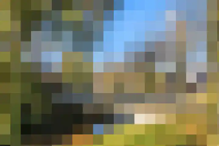 Nijenrode 21 A Amersfoort thumbnail 44