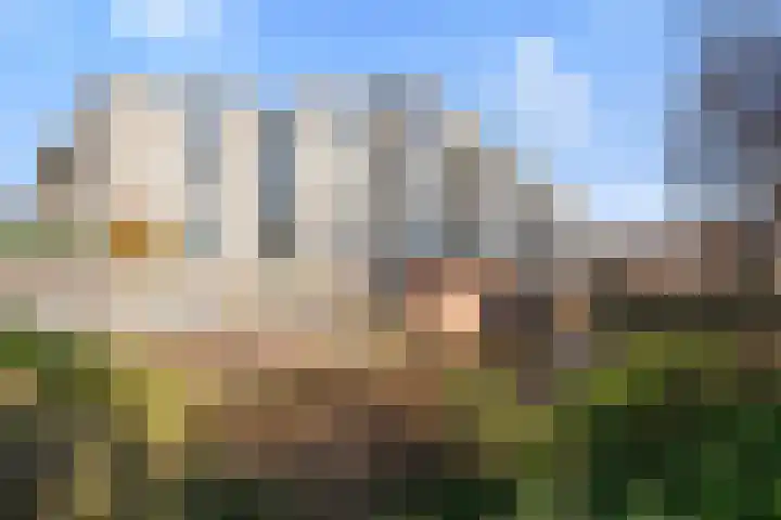 Nijenrode 21 A Amersfoort thumbnail 5