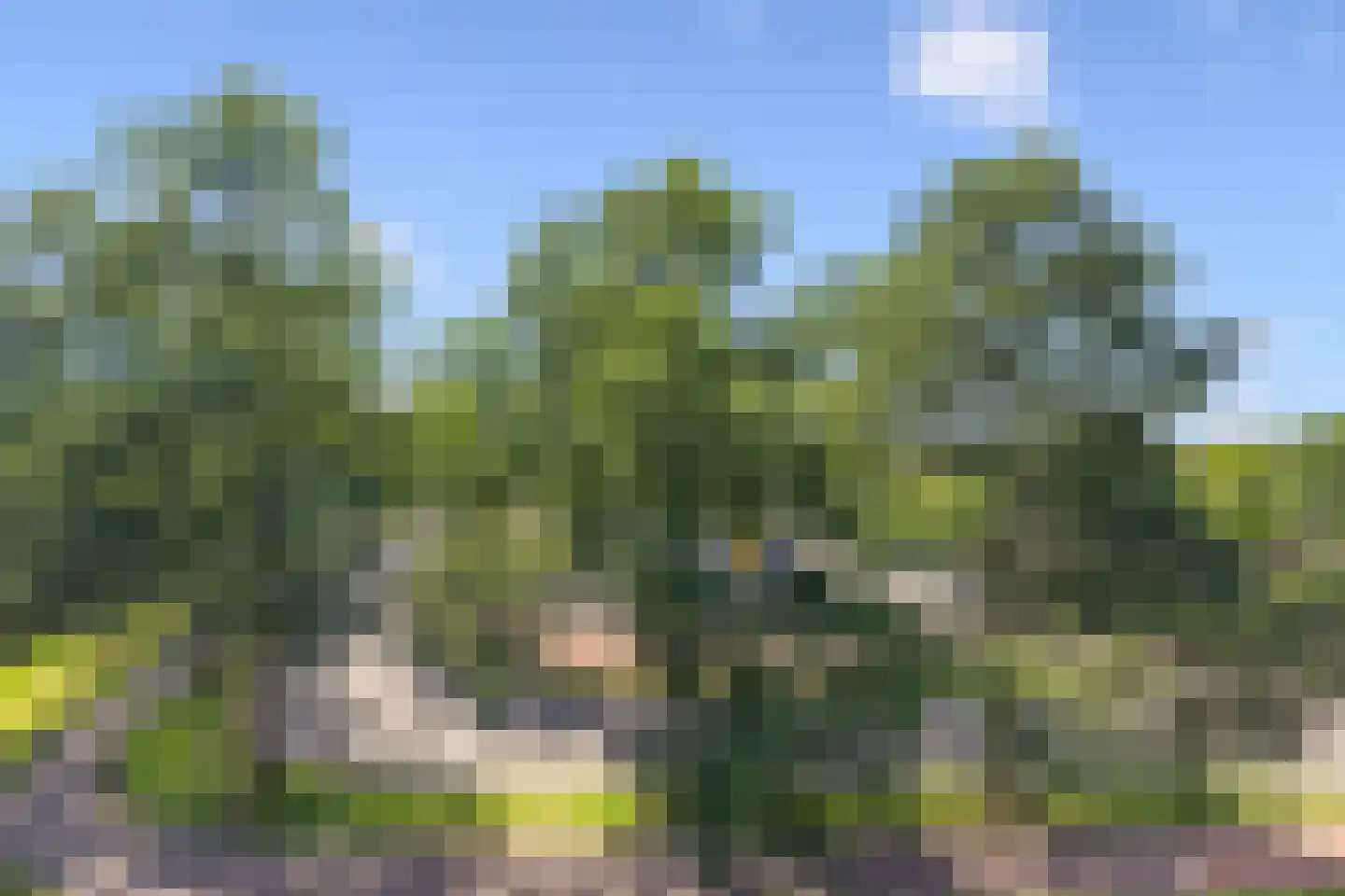 Nijenrode 23 B Amersfoort thumbnail 28