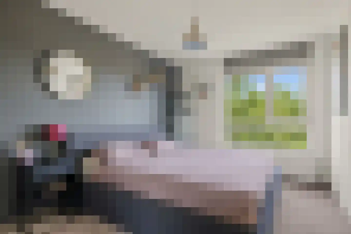 Nijenrode 23 B Amersfoort thumbnail 30