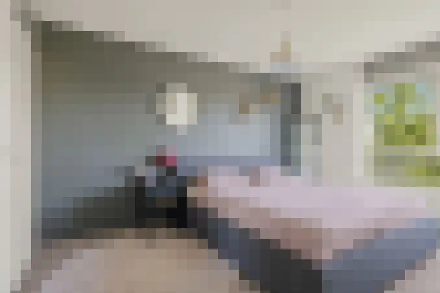Nijenrode 23 B Amersfoort thumbnail 4