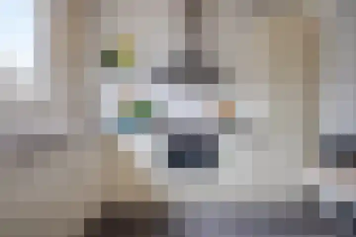Nijenrode 24 Eindhoven thumbnail 17