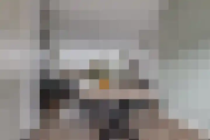 Nijenrode 24 Eindhoven thumbnail 18