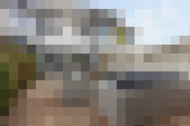 Nijenrode 24 Eindhoven thumbnail 21