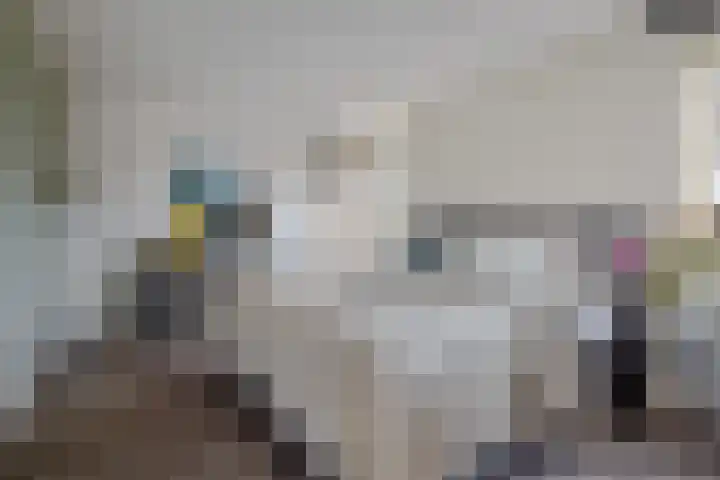 Nijenrode 24 Eindhoven thumbnail 26