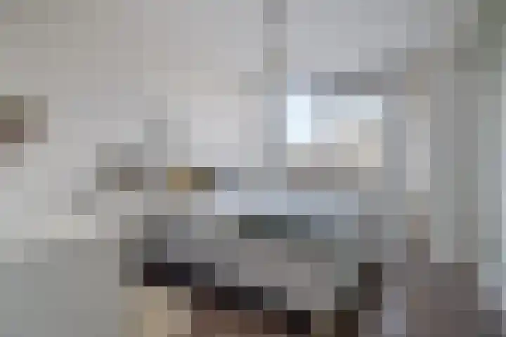 Nijenrode 24 Eindhoven thumbnail 28