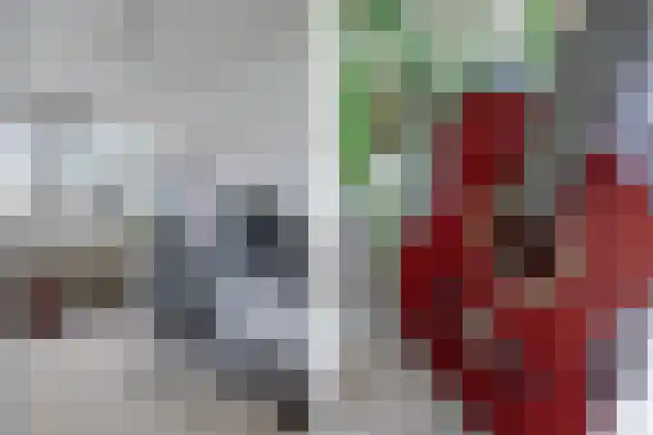 Nijenrode 24 Eindhoven thumbnail 32