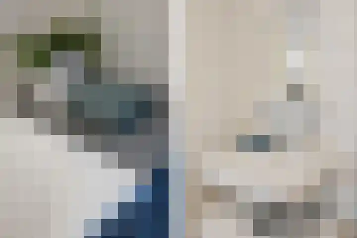 Nijenrode 24 Eindhoven thumbnail 34