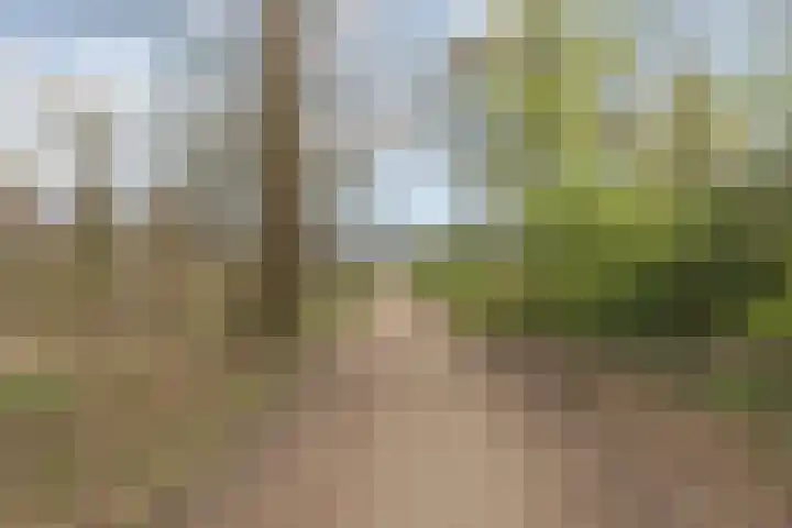 Nijenrode 24 Eindhoven thumbnail 38