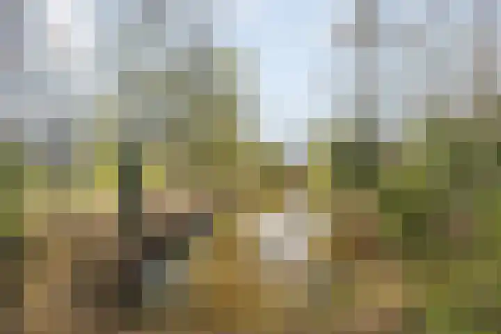 Nijenrode 24 Eindhoven thumbnail 39