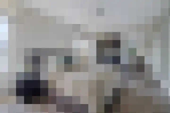 Nijenrode 24 Eindhoven thumbnail 4
