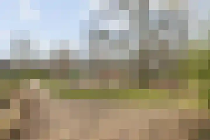 Nijenrode 24 Eindhoven thumbnail 40