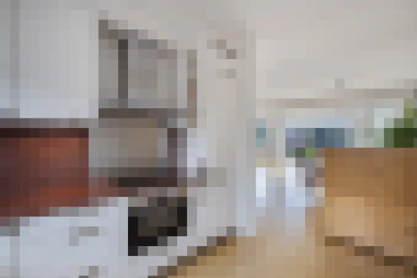 Nijenrode 25 Huizen thumbnail 10