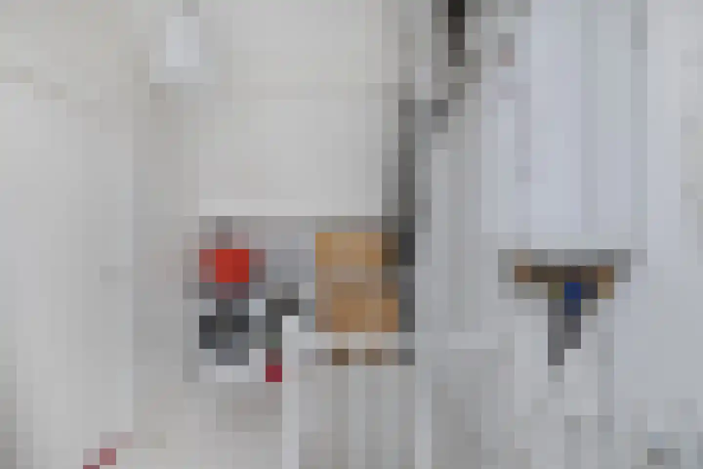 Nijenrode 25 Huizen thumbnail 21