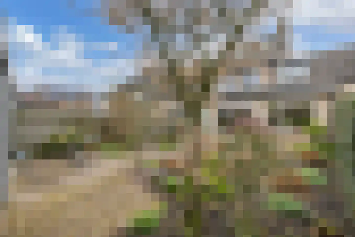 Nijenrode 25 Huizen thumbnail 26