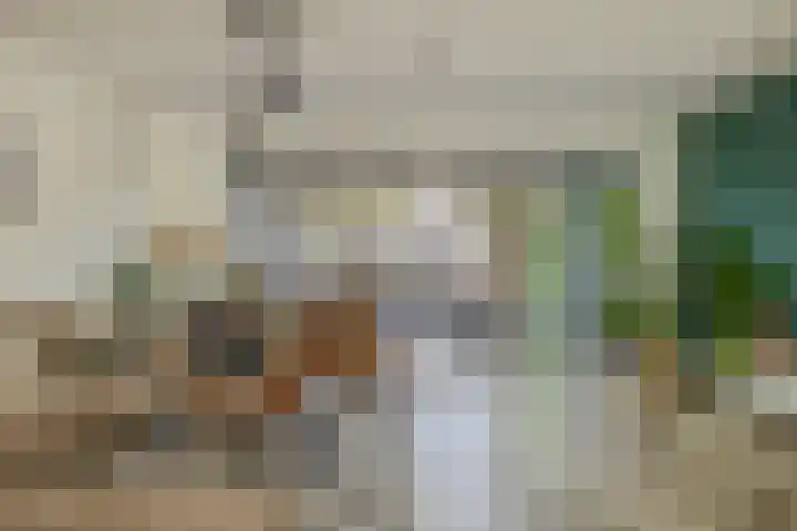 Nijenrode 31 Eindhoven thumbnail 14