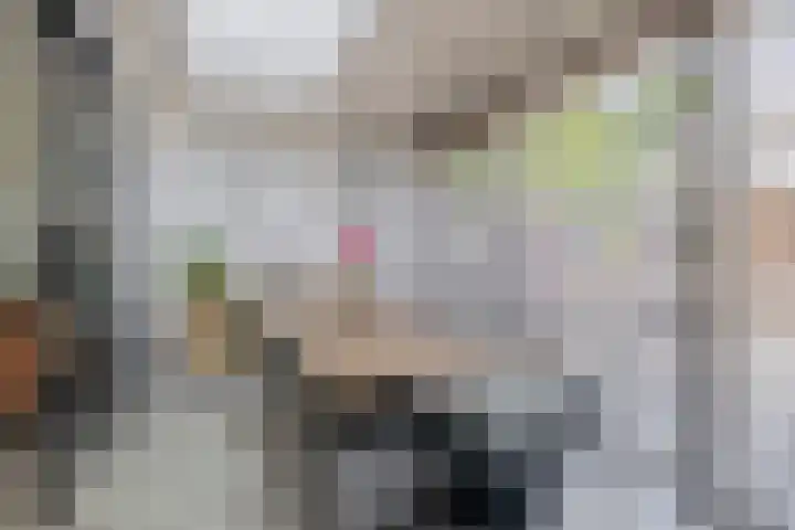 Nijenrode 31 Eindhoven thumbnail 15