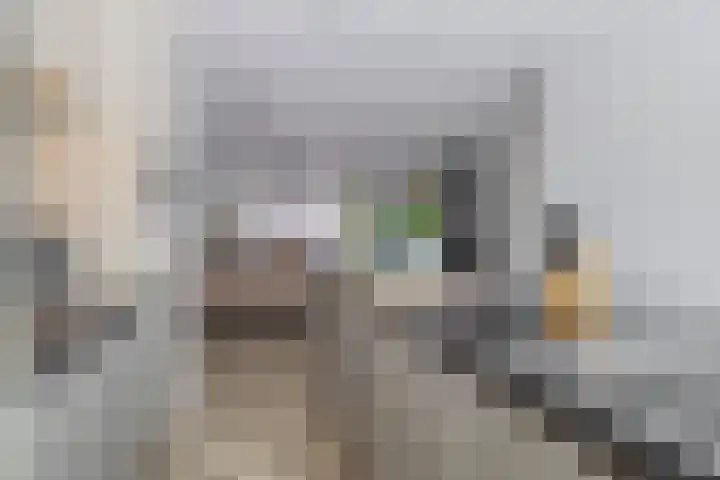 Nijenrode 31 Eindhoven thumbnail 21