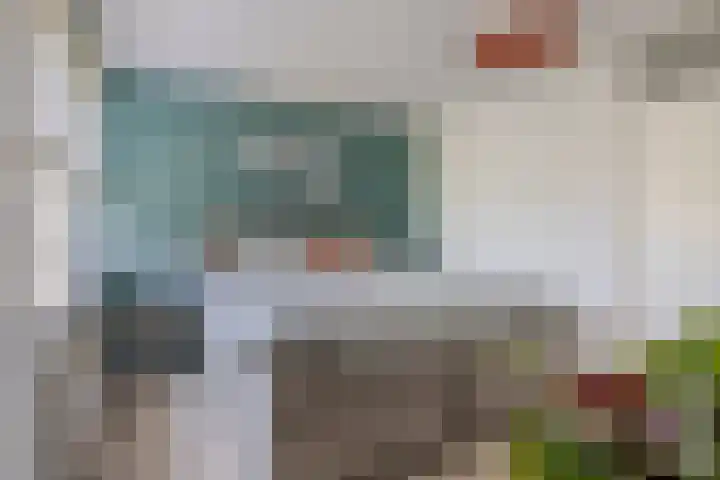 Nijenrode 31 Eindhoven thumbnail 26