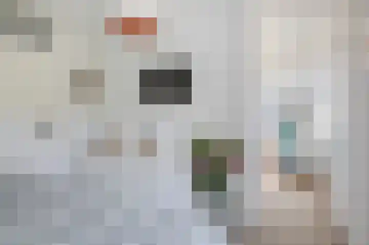 Nijenrode 31 Eindhoven thumbnail 27