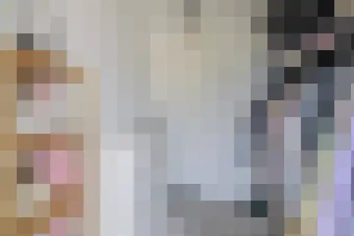 Nijenrode 31 Eindhoven thumbnail 28