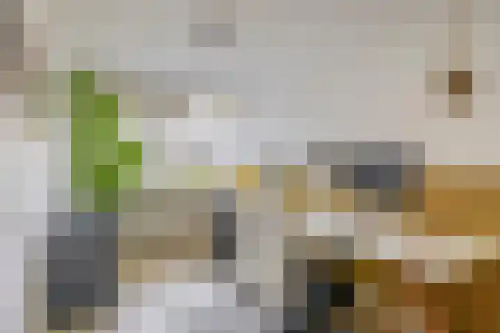 Nijenrode 31 Eindhoven thumbnail 29