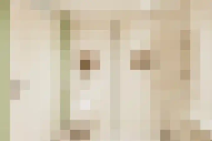 Nijenrode 31 Eindhoven thumbnail 32