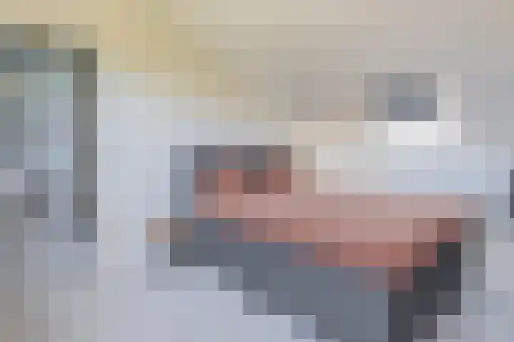 Nijenrode 31 Eindhoven thumbnail 38