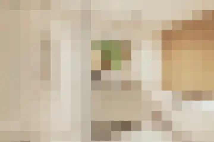Nijenrode 31 Eindhoven thumbnail 4